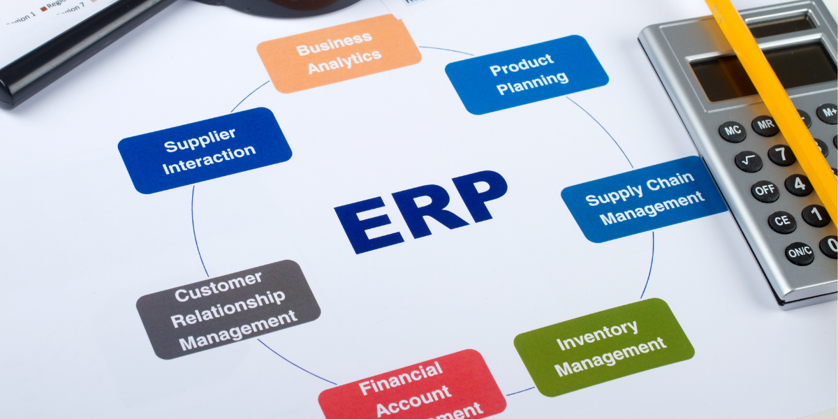 ईआरपी (एंटरप्राइज रिसोर्स प्लानिंग) डेवलपमेंट